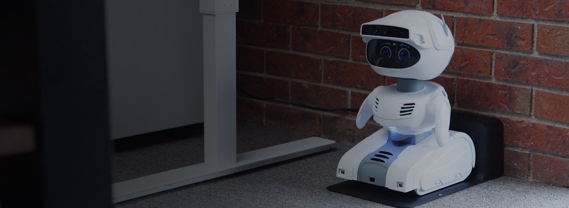 Misty Robotics 的橫幅影像